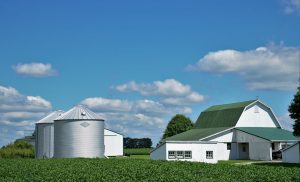 Użytkowanie farm syntetycznych wymiarów: nowa era rolnictwa