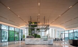 Fotomorfogeneza w ogrodach wertykalnych: Nowa era projektowania