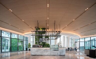 Fotomorfogeneza w ogrodach wertykalnych: Nowa era projektowania